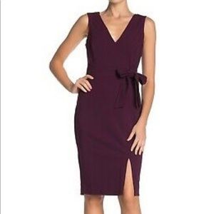 NWOT Vince Camuto plum v-neck side tie waist dress